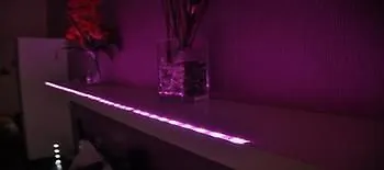 Belhorizon ローマ